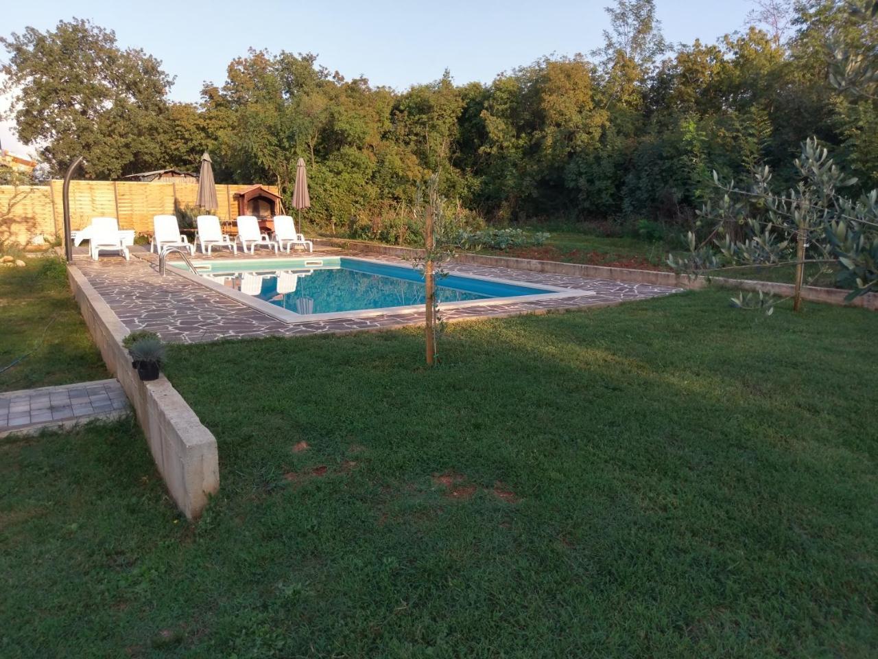 Adriatic Apartment